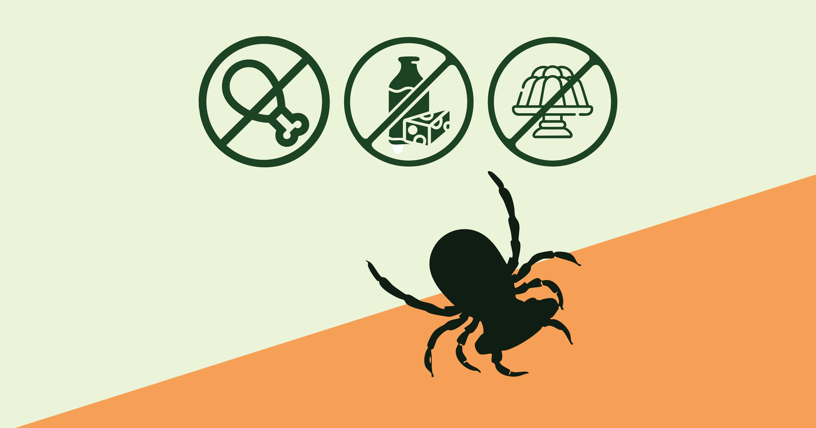 Why Plant Based Matters More Than You Think