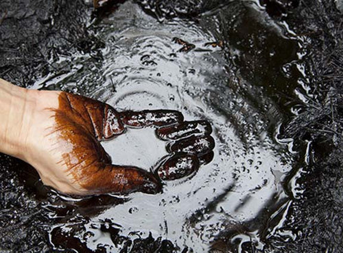 hand scooping up oil waste from the ground